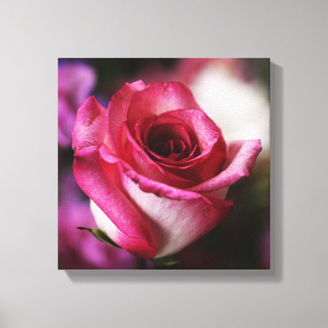Rosa ros Flower Blommigt Canvastryck (Framsida)