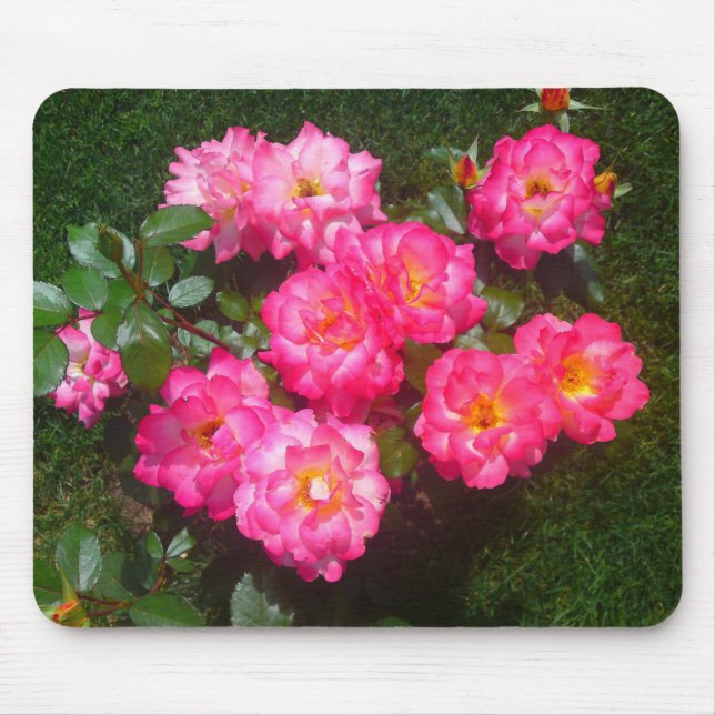 Rosa ros Flower Patch Mousepad Musmatta (Framsidan)