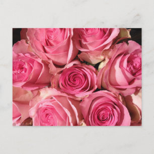 Rosa ros Flower Vykort