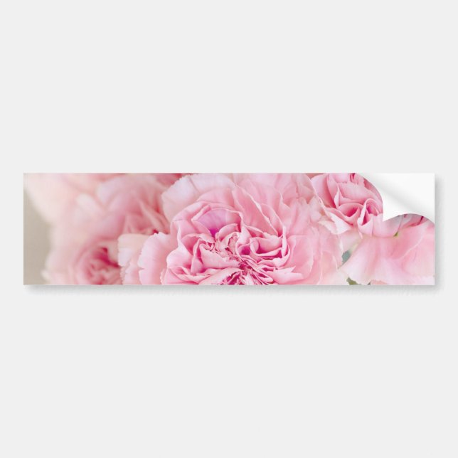 Rosa ros Flowers Bildekal (Framsidan)