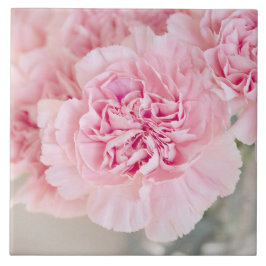 Rosa ros Flowers Kakelplatta