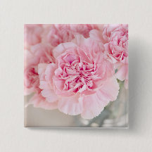 Rosa ros Flowers