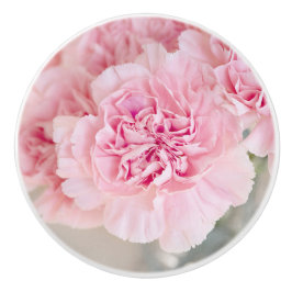 Rosa ros Flowers Knopp