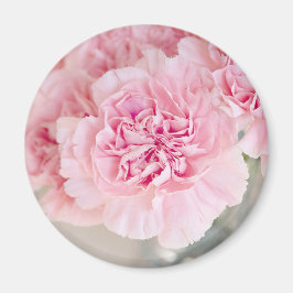 Rosa ros Flowers Magnet
