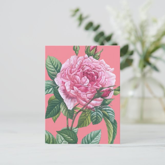 Rosa ros Flowers med Grönt Löv Vykort (Stående Fram)