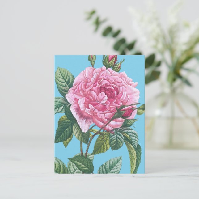 Rosa ros Flowers med Grönt Löv Vykort (Stående Fram)