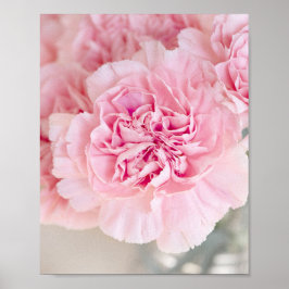Rosa ros Flowers Poster