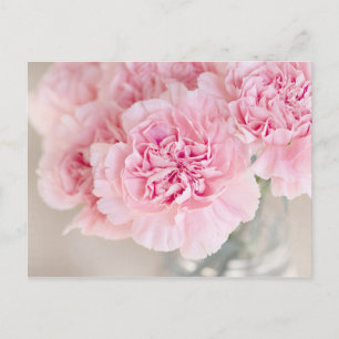 Rosa ros Flowers Vykort