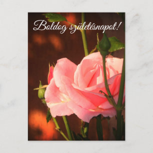 Rosa ros-foto - Ungernfödelsedag Vykort