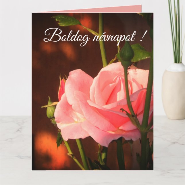 Rosa ros-foto - Ungerska namn-dagen Kort (Framsida)