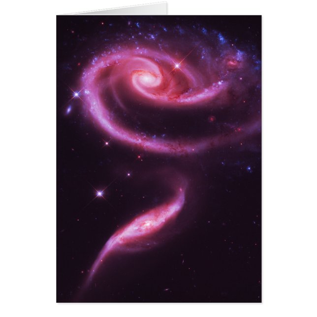 Rosa ros Galaxies Hälsningskort (Framsidan)