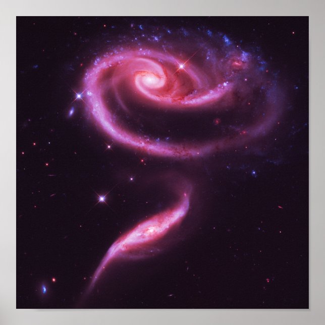 Rosa ros Galaxies Poster (Framsidan)