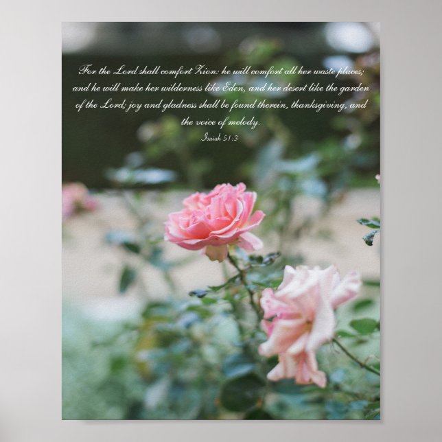 Rosa ros Garden Bible Verse Poster (Framsidan)