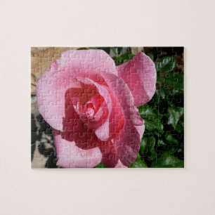 Rosa ros Garden Blommigt Pussel