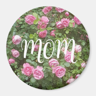 Rosa ros Garden Mamma Magnet
