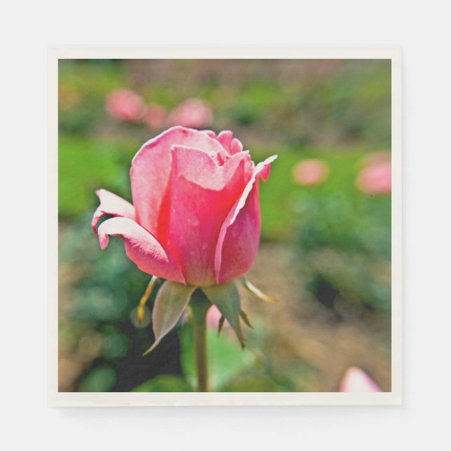 Rosa ros Garden Pappersservett (Framsidan)