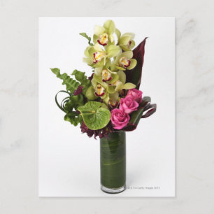 Rosa ros, grönt anurum, cymbidium orchids vykort