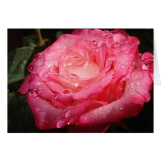 Rosa ros hälsningskort