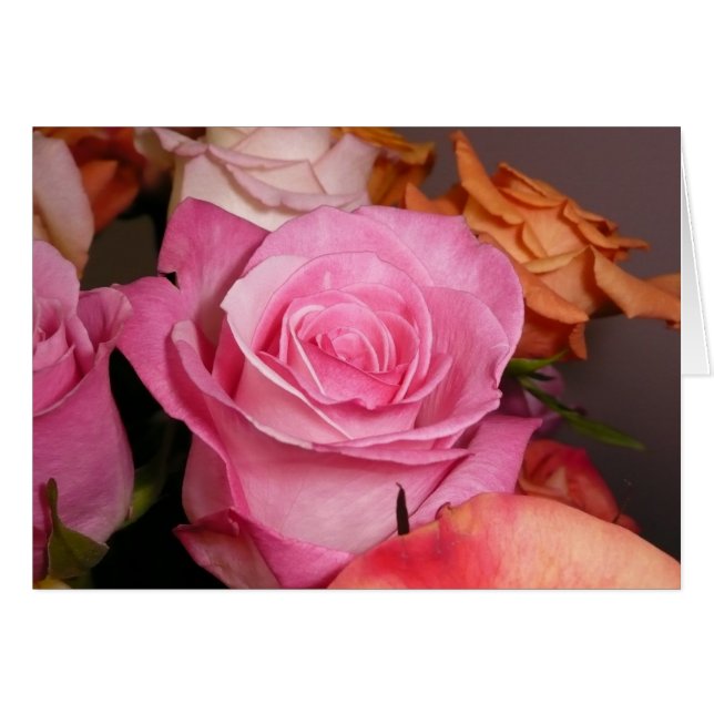 Rosa ros hälsningskort (Framsidan Horizontal)