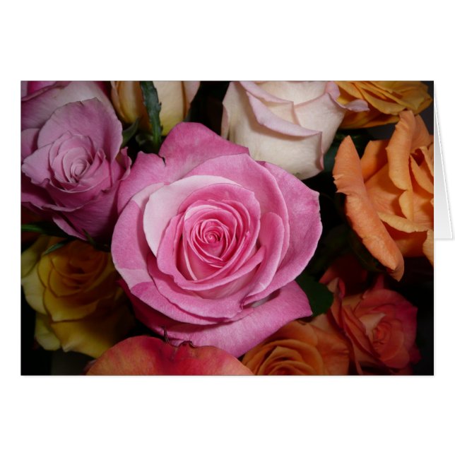 Rosa ros hälsningskort (Framsidan Horizontal)