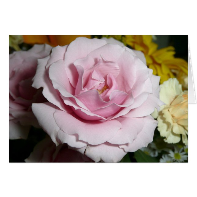 Rosa ros hälsningskort (Framsidan Horizontal)