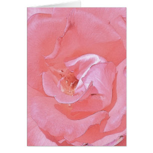 Rosa ros hälsningskort