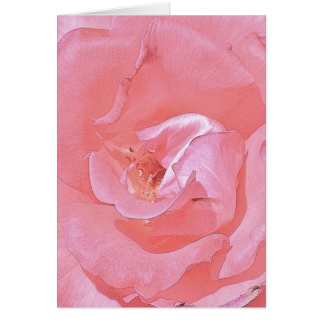 Rosa ros hälsningskort (Framsidan)