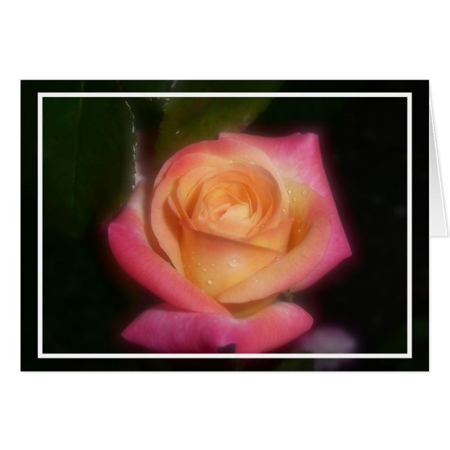 Rosa ros hälsningskort (Framsidan Horizontal)