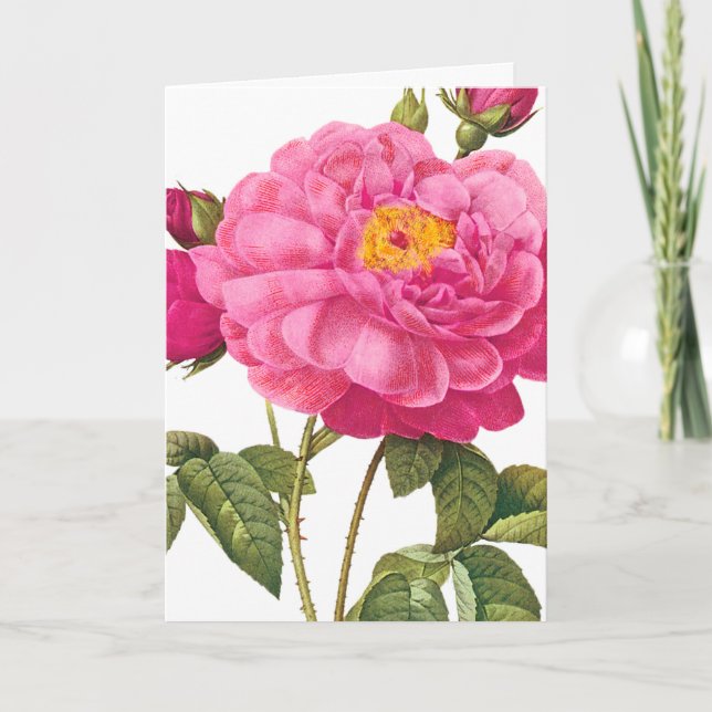 Rosa ros-hälsningskort kort (Framsida)