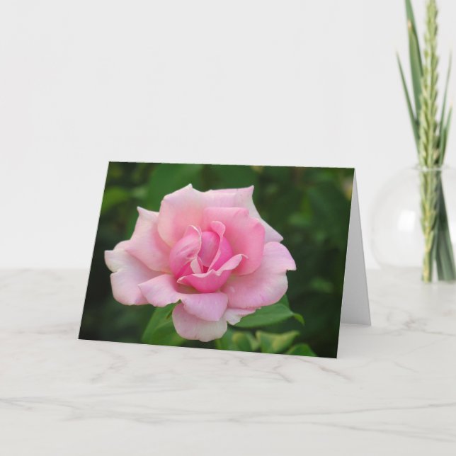 Rosa ros-hälsningskort kort (Framsida)
