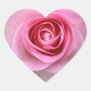 Rosa ros Heart Stickers Hjärtformat Klistermärke