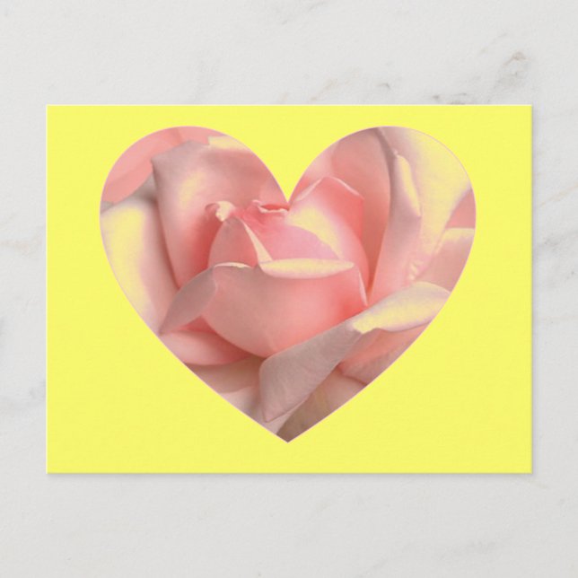 Rosa ros Heart Vykort (Framsida)
