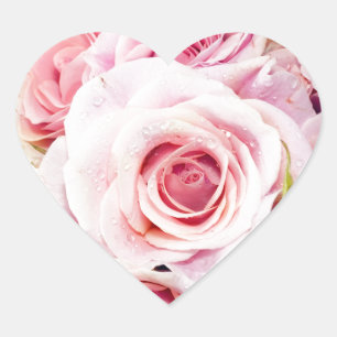 Rosa ros Hjärteformens kuvertstecken Hjärtformat Klistermärke