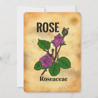 Rosa ros i åldrande pappersstil Linjekonst Platt k