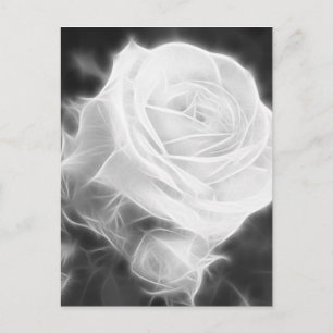 rosa ros i Anzures 2 Crystal Vykort