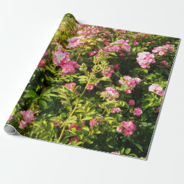 Rosa ros i blomning presentpapper