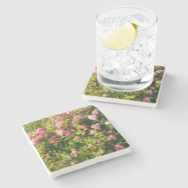 Rosa ros i blomning stenunderlägg