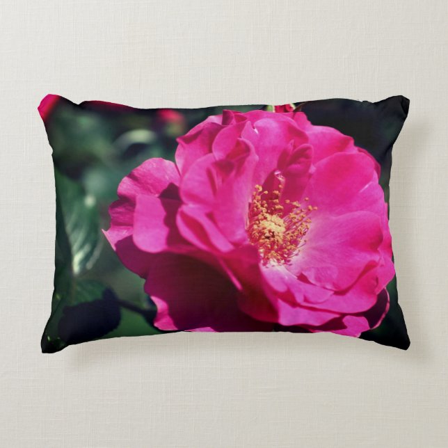 Rosa ros i Fullt Bloom Close Up Prydnadskudde (Framsidan)