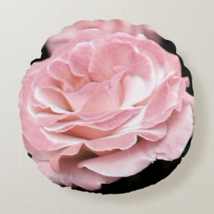 Rosa ros i Fullt Bloom Rund Kudde