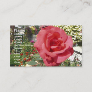 Rosa ros i Grandmas Garden Visitkort