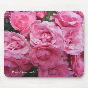 Rosa ros i Rom, Italien Musmatta