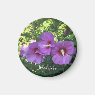 Rosa ros i Sharon Floral Photography Magnet