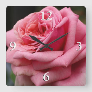Rosa ros I Söt Floral Photography Fyrkantig Klocka