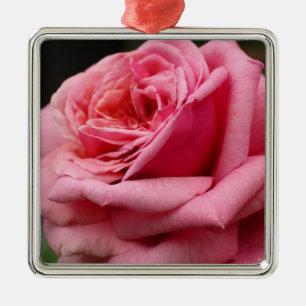Rosa ros I Söt Floral Photography Julgransprydnad Metall