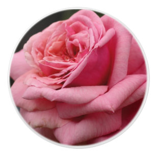 Rosa ros I Söt Floral Photography Knopp