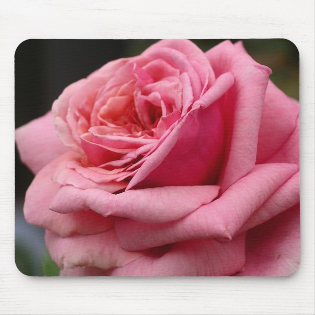 Rosa ros I Söt Floral Photography Musmatta (Framsidan)