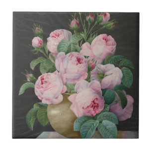 Rosa ros i Vas - Pierre Joseph Redouté Kakelplatta