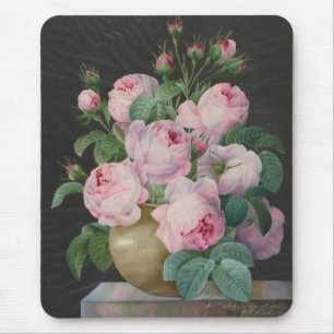 Rosa ros i Vas - Pierre Joseph Redouté Musmatta