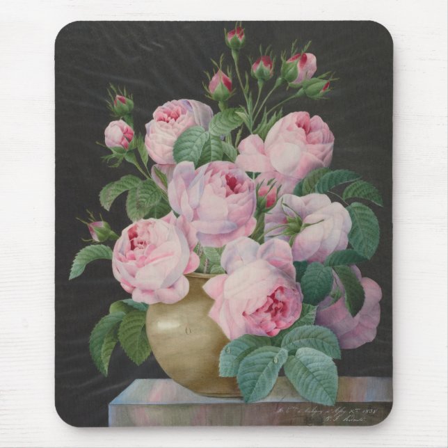Rosa ros i Vas - Pierre Joseph Redouté Musmatta (Framsidan)