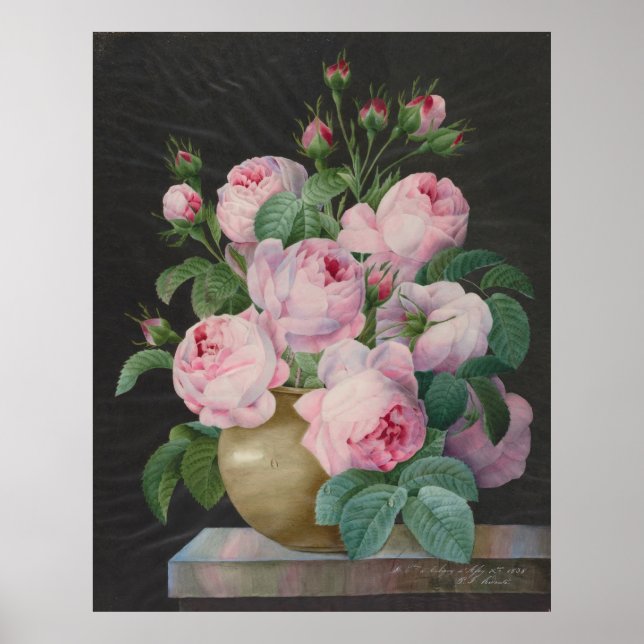 Rosa ros i Vas - Pierre Joseph Redouté Poster (Framsidan)